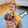 Fisher-Price iXL Learning System Software SCOOBY-DOO! view 3