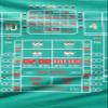 8 Ft. Synthetic Polyester Felt Casino Style Craps Layout view 3