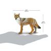 Safari Ltd. Coyote Figurine - Lifelike 3.75" Model Figure - Educational Toy for Boys, Girls, and Kids Ages 1+ view 3
