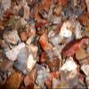 Rock Tumbler Gem Refill Kit Mexican Desert Arroyo Mix Rough 8oz. view 2