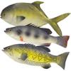 Ailejia 3pcs Simulated Animal Fake Fish Model for Home Decor, Market Display, Photography Prop Kids Toy Kitchen view 1