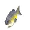 Ailejia 3pcs Simulated Animal Fake Fish Model for Home Decor, Market Display, Photography Prop Kids Toy Kitchen view 2