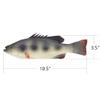 Ailejia 3pcs Simulated Animal Fake Fish Model for Home Decor, Market Display, Photography Prop Kids Toy Kitchen view 3
