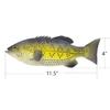 Ailejia 3pcs Simulated Animal Fake Fish Model for Home Decor, Market Display, Photography Prop Kids Toy Kitchen view 4