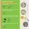 EZ BioResearch Bacteria Science Kit (IV) (Gift Pack): Prepoured LB-Agar Plates and Cotton Swabs. Exclusive Free Science Fair Project E-Book Packed with Award Winning Experiments. (IV Gift Pack) view 3