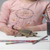 Papo The Dinosaur Figure, Ankylosaurus , 8.2cm view 2
