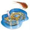 Clementoni 69935 Galileo Science Original Triops Breeding & Watching Prehistoric Shrimp Toy for Children Aged 8+ Biology Touch for Small Researchers, Multicoloured, 5,5 x 15 x 21 cm view 4