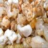 Rock Tumbler Gem Refill Kit New Mexico White Chalcedony Rough 8 oz view 3