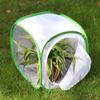 RESTCLOUD Insect and Butterfly Habitat Cage Terrarium Pop-up 12 X 12 X 12 Inches view 3