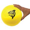 Great Lakes Sports Set of 6 Shark Skin Special 8" Diameter Foam Balls view 2