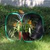RESTCLOUD Insect and Butterfly Habitat Cage Terrarium Pop-up 12 X 12 X 12 Inches view 2