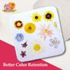 Microfleur - Regular Microwave Flower Press Refill Pack - Floral Art Crafting Accessory, Creative Pressing, DIY Handicrafts Creations for Plant Lovers, Replacement Washable Cotton Liners - 5" (13 cm) view 4