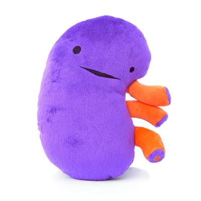 I Heart Guts Kidney Plush 9" Educational Stuffed Organ Toy for Kidney Disease, Transplant Recovery, Dialysis, CKD, Polycystic Kidney, Renal Failure Funny Get Well Gift