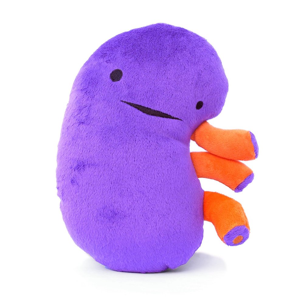 I Heart Guts Kidney Plush 9" Educational Stuffed Organ Toy for Kidney Disease, Transplant Recovery, Dialysis, CKD, Polycystic Kidney, Renal Failure Funny Get Well Gift