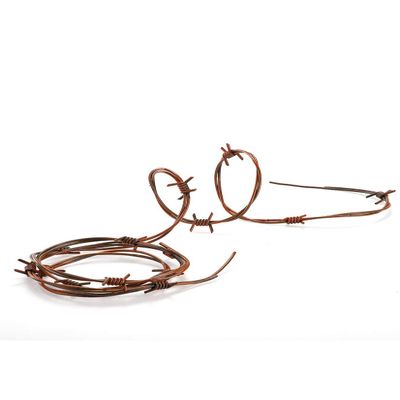 Barbed Wire Decoration Plastic 200cm