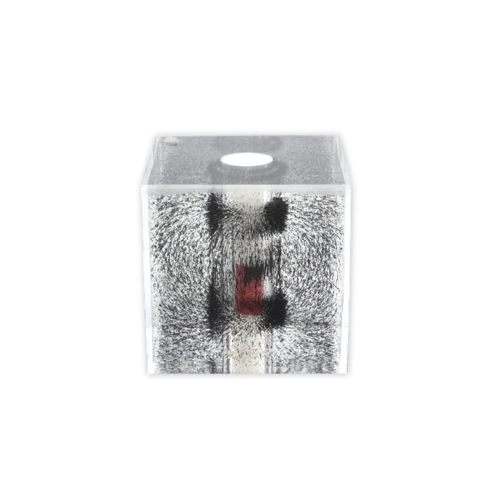 American Scientific - 3615-00 - Magnetic Field Viewer Acrylic W/Mag (Each)