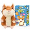 Ayeboovi Toddler Toys Talking Hamster Repeats What You Say, Kids Toys for 2 3 4 5 6 7 8 Year Old Girls Boys Birthday Gift, Stuffed Animals Interactive Learning Autism Toy view 1