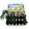 Backyard Safari Company Sunny-Side Up Gardens, Little Bunny Garden view 3