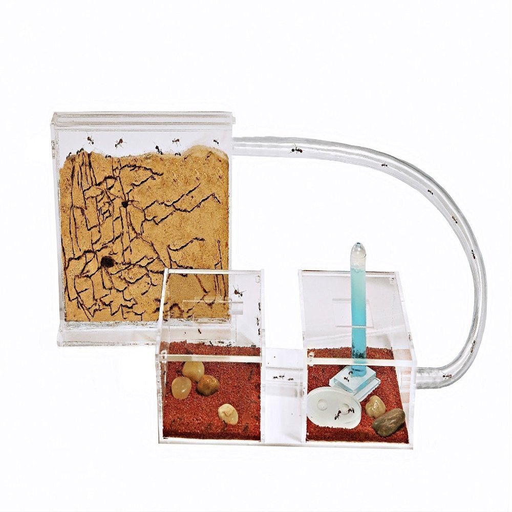 AntHouse Sand Ant Farm Mini - Formicarium