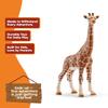 Schleich Wild Life Realistic Female Giraffe Animal Figurine - Authentic Detailed Wild Female Giraffe Toy for Boys and Girls Education Imagination and Play, Highly Durable Gift for Kids Ages 3+ view 4