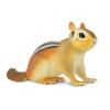 Safari Ltd. Eastern Chipmunk Figurine - Detailed 7" Plastic Model Figure - Fun Educational Play Toy for Boys, Girls & Kids Ages 3+ view 1