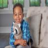 Wild Republic Raccoon Plush, Stuffed Animal, Plush Toy, Gifts for Kids, Cuddlekins 8 Inches view 2