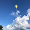 Yellow 30" Diamond Kite view 3