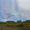 Yellow 30" Diamond Kite view 4