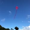 In the Breeze 2994  Pink Diamond Kite, 30-inch, Easy-Flying Kite for All-Ages view 3