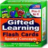 TestingMom.com Gifted Learning Flash Cards  Visual Spatial Concepts for Pre-K  Kindergarten  Educational Practice for The NNAT Test, CogAT Test, OLSAT, WPPSI, and More! view 1