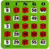 Regal Bingo Bulk Bingo Cards with Sliding Windows - Reusable Large Print Bingo Game Cards for Adults Large Group - 10 Pack, Green view 1