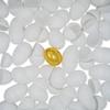 47 White Plastic Easter Eggs + 1 Surprise Golden Egg Set view 2