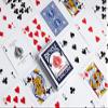 Bicycle Rider Back Index Playing Cards (COLORS MAY VARY- SINGLE PACK) view 4
