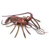 Safari Ltd. Spiny Lobster Figurine - Hand-Painted, Lifelike Model Figure 12.5" - Fun Educational Marine Animal Toy for Boys, Girls & Kids Ages 3+ view 1