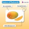 Hungry Brain Fruits Educational Flash Cards for Toddlers  24 Double-Sided Real Picture Learning Cards | Early Learning & Preschool Cards view 4