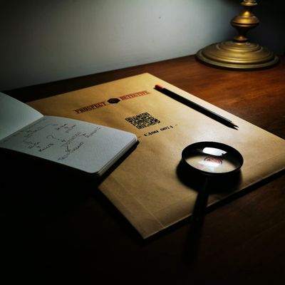 Prospect Detective: Case 0074