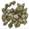 Fundamental Rockhound Products: 2 pc Epidote Tumbled Stone Crystal from South Africa (Two Large) view 1