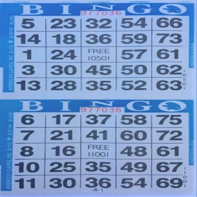 American Games INC 3000 Paper Bingo Cards-2 Cards per sheet-1500 Sheets [Choose Color Below] (Blue)