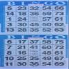 American Games INC 3000 Paper Bingo Cards-2 Cards per sheet-1500 Sheets [Choose Color Below] (Blue) view 1