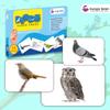 Hungry Brain Birds Flash Cards for Toddlers (Ages 14), 24 Double-Sided Real Picture Learning Cards | Early Learning Educational Flashcards | Montessori & Preschool Toy for Babies and Kids view 2