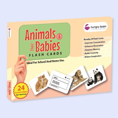 Hungry Brain Animals & Their Babies Flash Cards for Toddlers (Ages 14), 24 Double-Sided Real Picture Learning Cards | Early Learning Educational Flashcards | Montessori & Preschool Toy for Babies