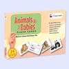 Hungry Brain Animals & Their Babies Flash Cards for Toddlers (Ages 14), 24 Double-Sided Real Picture Learning Cards | Early Learning Educational Flashcards | Montessori & Preschool Toy for Babies view 1