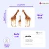 Hungry Brain Animals & Their Babies Flash Cards for Toddlers (Ages 14), 24 Double-Sided Real Picture Learning Cards | Early Learning Educational Flashcards | Montessori & Preschool Toy for Babies view 3