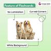 Hungry Brain Animals & Their Babies Flash Cards for Toddlers (Ages 14), 24 Double-Sided Real Picture Learning Cards | Early Learning Educational Flashcards | Montessori & Preschool Toy for Babies view 4