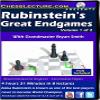 Rubinsteins Great Endgames - 2 DVDs - Chess Lecture - Volume 137 view 1