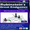 Rubinsteins Great Endgames - 2 DVDs - Chess Lecture - Volume 137 view 3