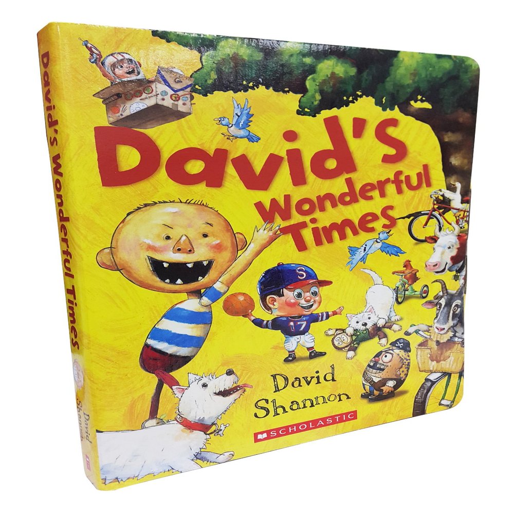 Davids Wonderful Times 5 Books With Cd