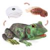 Folkmanis Frog Life Cycle Hand Puppet, Green, 8" view 2