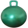 AppleRound Hippity Hoppity Hopball with Ball Pump, 18in/45cm Diameter for Age 3-7, Kangaroo Bouncer, Space Hopper Ball with Handle for Children, Printed Design (Frog) view 2