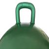AppleRound Hippity Hoppity Hopball with Ball Pump, 18in/45cm Diameter for Age 3-7, Kangaroo Bouncer, Space Hopper Ball with Handle for Children, Printed Design (Frog) view 3
